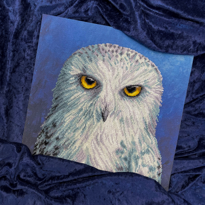 bt-xrf12_1 Borduurpakket Rachel Froud - Wisdom - Bothy Threads