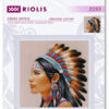 ri-2255_1 Borduurpakket Amazing Women - America - RIOLIS