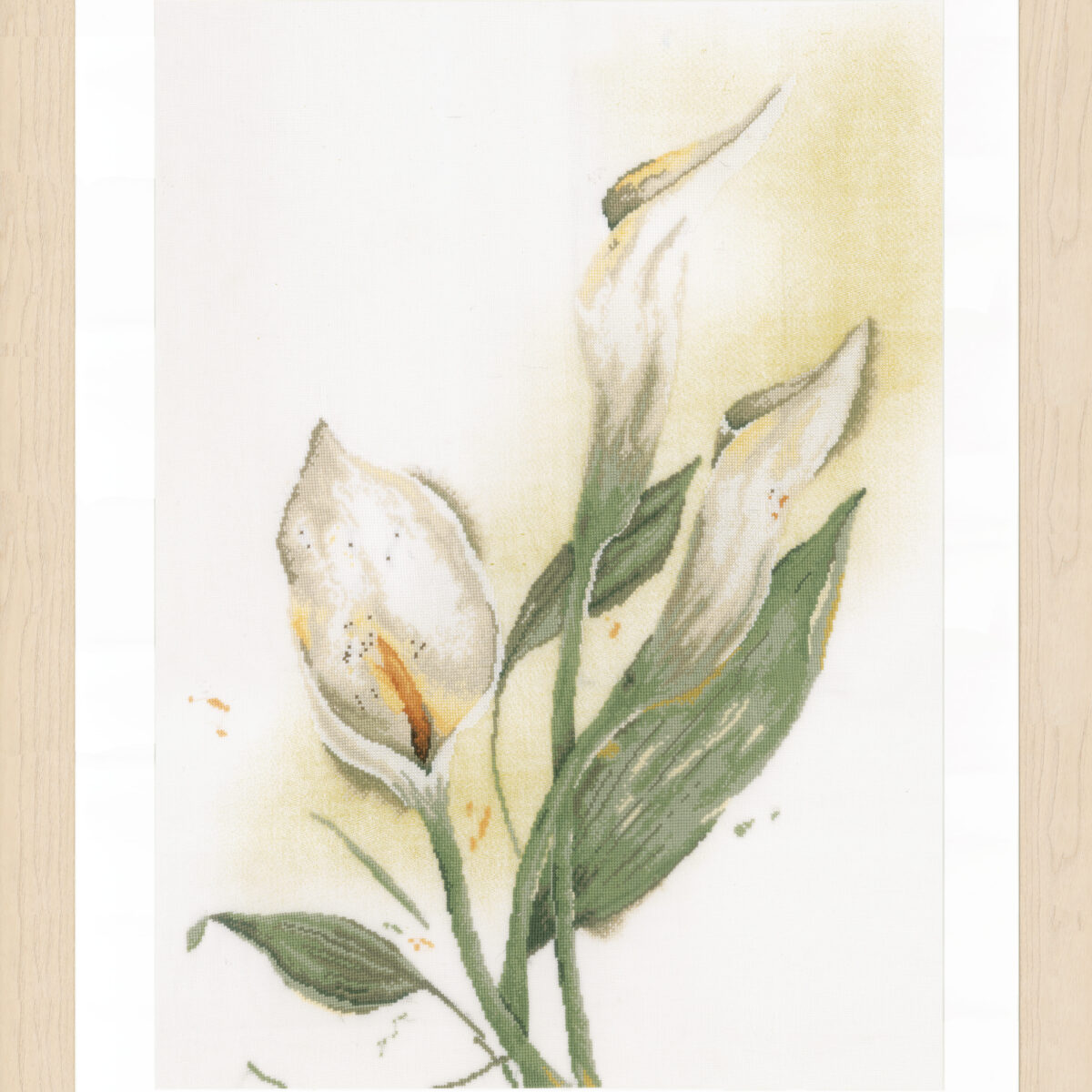 0008015 Telpakket kit Calla Lily