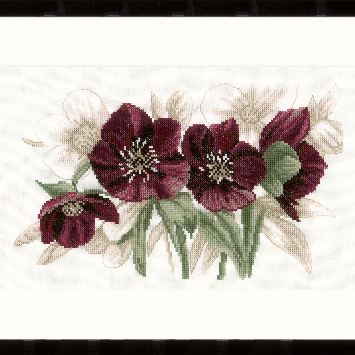 0021206 Telpakket kit Helleborus