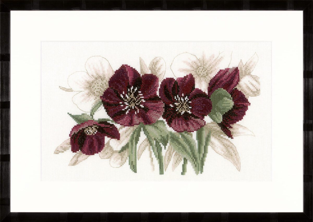 0021206 Telpakket kit Helleborus