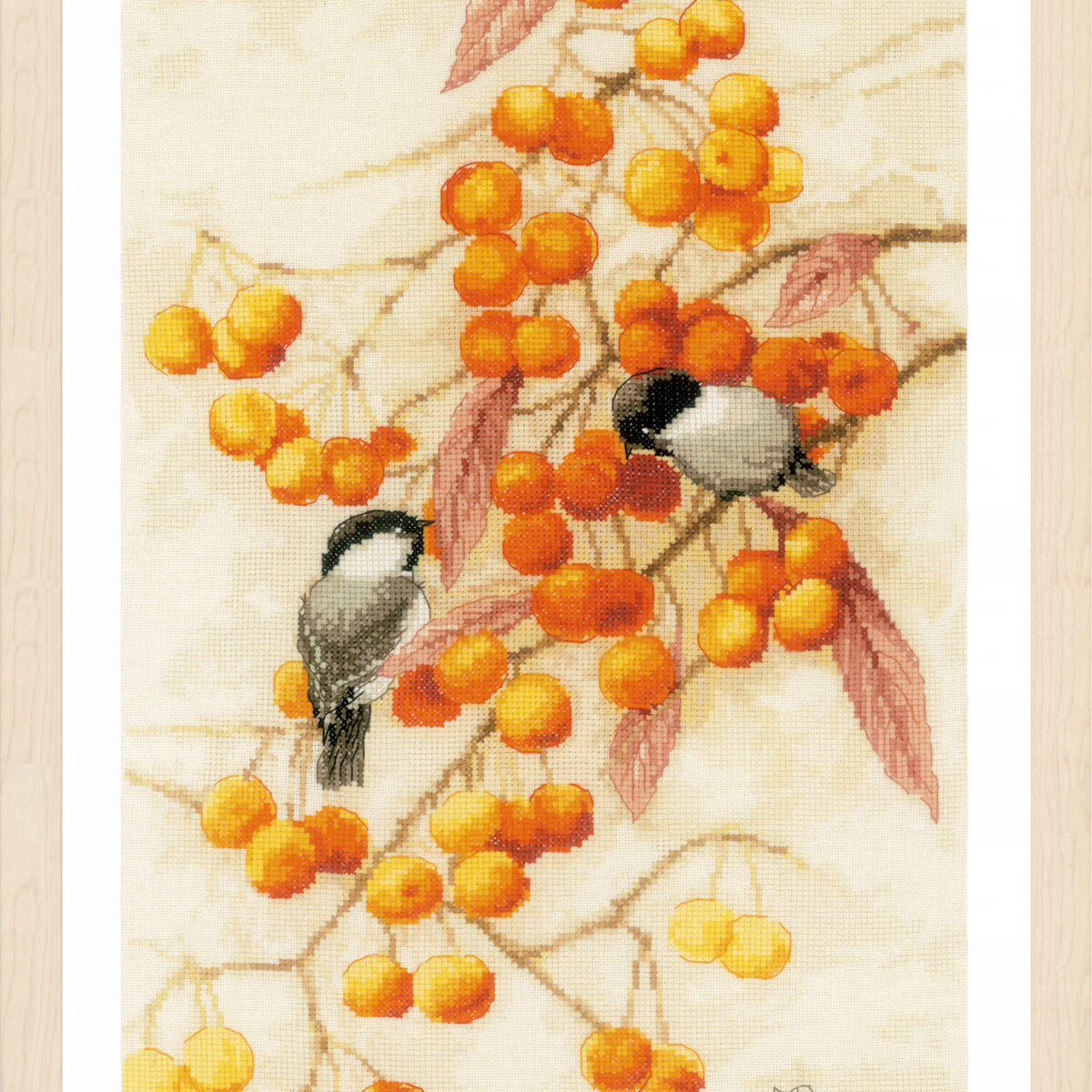 0201746 Telpakket kit Klein oranje feestje