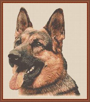 200911181149200328 Duitse Herdershond